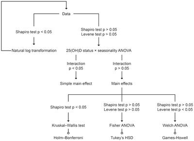 25-Hydroxyvitamin D status does not affect energy metabolism among young, healthy, non-obese adults: a metabolic chamber study